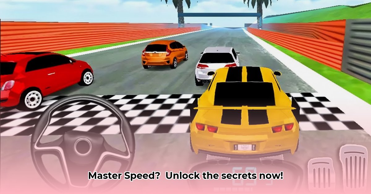 driving-for-speed-simulator